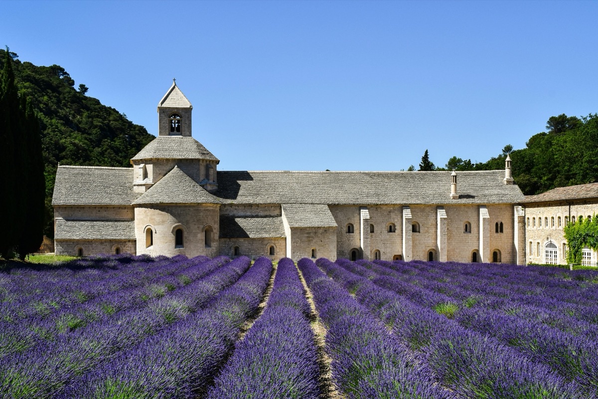 Les plus belles abbayes de France : histoire, visites, hébergements